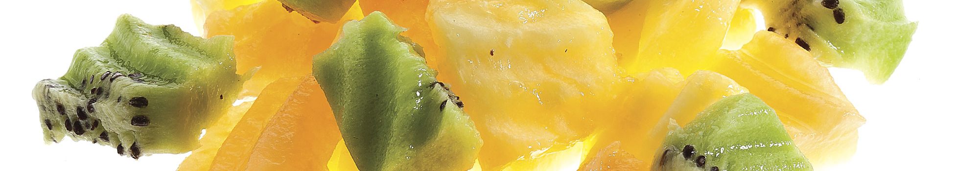 food preparation food preparation - cutting discs