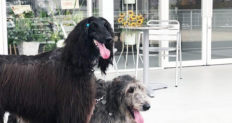 the-good-place---image-5 the-good-place---image-5