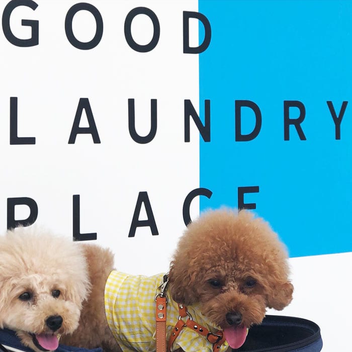 the-good-place---image-6 the-good-place---image-6