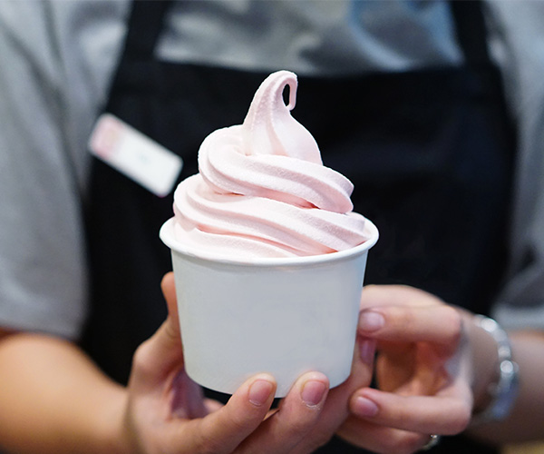 soft-serve-ice-cream-600x500 soft-serve-ice-cream-600x500